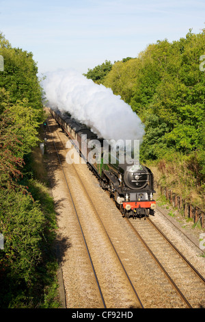 60163 Tornado Dampflokomotive "Kathedralen Express" unter Dampf und Geschwindigkeit unter einer Brücke in Reigate, Surrey Stockfoto