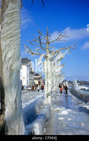Schweiz, Europa, Geneve, Genf, Versoix, Lac Leman, Winter, Eis, Klima Stockfoto