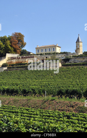 Clos La Madeleine Saint-Emilion Frankreich Stockfoto