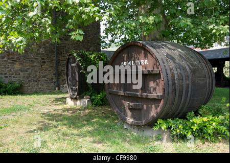 Rüdesheim ist ein historisches Dorf an den Hängen des Rheintals Weinbaus. Es ist ein UNESCO-Weltkulturerbe. Stockfoto