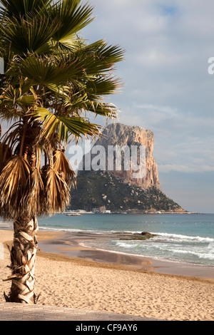 In Abend Sonne, Costa Blanca, Spanien Calpe Strand entlang zu den Penon D'Ifach anzeigen. Stockfoto