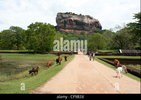 Sigiriya-Felsen auf der Insel Sri Lanka Stockfoto