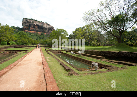 Sigiriya-Felsen auf der Insel Sri Lanka Stockfoto