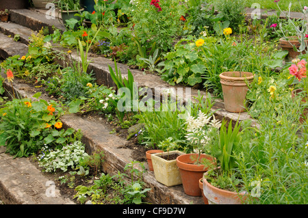 Lhjgvog yrdx ouyg Stockfoto