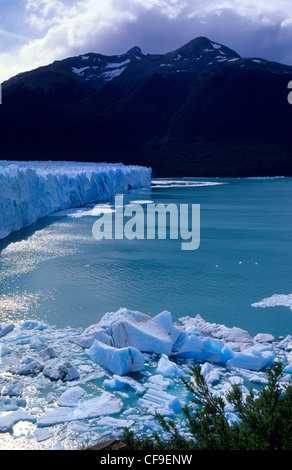 Perito Moreno Gletscher Los Glaciares Nationalpark, El Calafate, Provinz Patagonien Argentinien in Santa Cruz Stockfoto