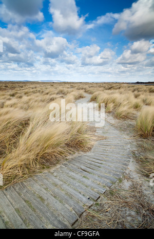 Einen Pfad windet sich zwischen den Dünen bei West Wittering in West Sussex Stockfoto