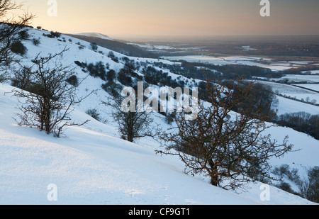 Schnee auf den South Downs in der Nähe von Ditchling Beacon, South Downs National Park, East Sussex, England, UK Stockfoto