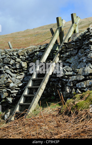 Hölzerne Schritt Stil über Trockenmauer. Dubbs Road, Nationalpark Lake District, Cumbria, England, Vereinigtes Königreich, Europa. Stockfoto