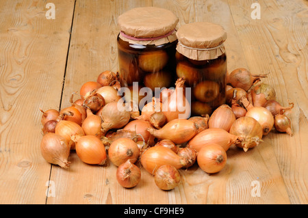 Zwei Gläser mit hausgemachten eingelegten Zwiebeln, umgeben durch Beizen Zwiebeln auf rustikalen Küchentisch, UK-September Stockfoto