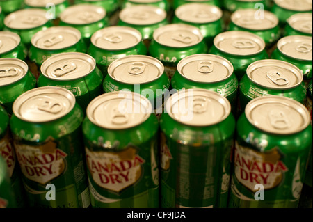 Dosen von Canada Dry Ginger Ale auf Samstag, 25. Februar 2012 in New York gesehen. (© Frances M. Roberts) Stockfoto