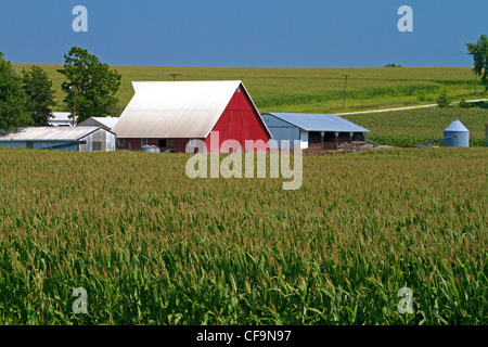 Rote Scheune und Mais Feld nahe Griswold, Iowa, USA. Stockfoto
