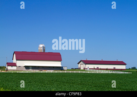 Bauernhof und Soja-Ernte nördlich von Eau Claire, Wisconsin, USA. Stockfoto