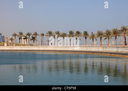 Palmen Bäume Promenade in Doha, Katar Stockfoto