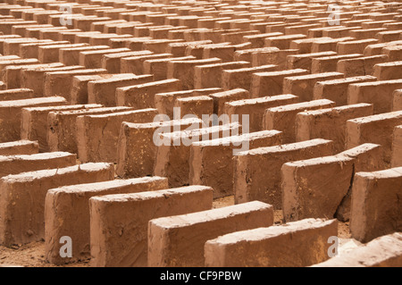 Lehmziegeln trocknen Stockfoto