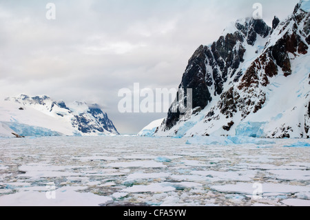 Lemaire-Kanal, Berge und Eisscholle, antarktische Halbinsel Stockfoto