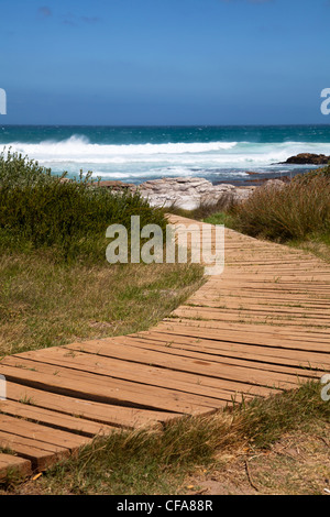 Scarborough Strand am Kap-Halbinsel in Südafrika Stockfoto