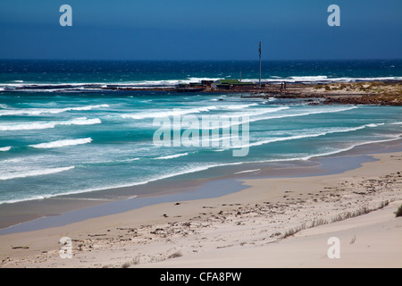 Witsands in der Nähe von Scarborough auf Kap-Halbinsel in Südafrika Stockfoto