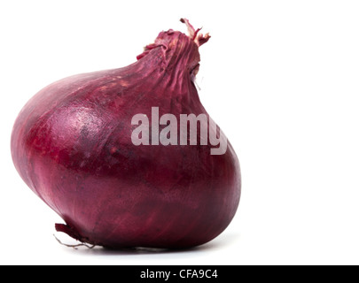 Einzelne rote Zwiebel isoliert auf weißem Hintergrund mit Schatten Stockfoto