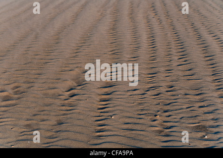 Sand, Dünen, Playa Hermosa, Strand, Ensenada, Baja California, Mexiko, Wellen Stockfoto