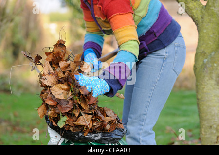 Gärtner setzen lässt im Plastiksack, Blatt Form Kompost, UK, Dezember zu machen. Stockfoto