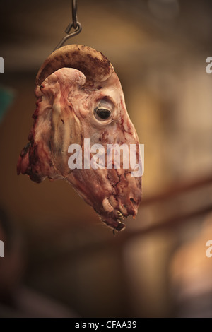 Kopf der Ziege zum Verkauf von hängenden Haken Stockfoto