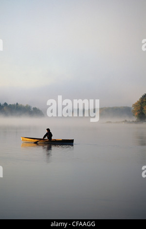 Junge Frau Kanus im frühen Morgennebel. Habichtsbitterkraut See, Muskoka, Ontario, Kanada. Stockfoto