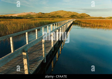 Boardwalk schweben über Bowley Teich. Greenwich Dünen Trail. Greenwich, Prince Edward Island Nationalpark, Kanada. Stockfoto