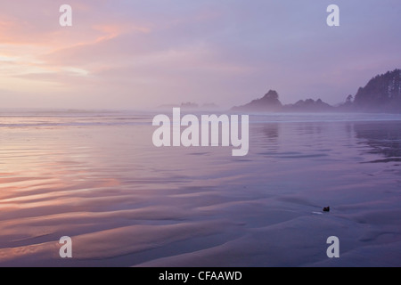 Die Sonne geht über dem Pazifischen Ozean in der Nähe von Tofino auf Vancouver Island, British Columbia, Kanada. Stockfoto