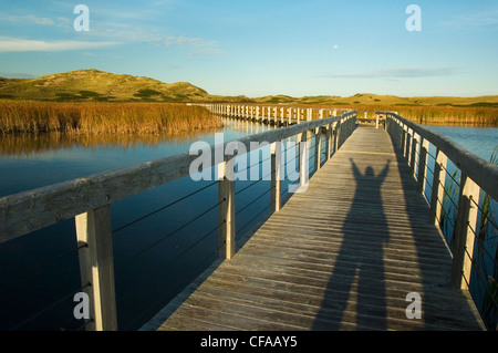 Boardwalk schweben über Bowley Teich. Greenwich Dünen Trail. Greenwich, Prince Edward Island Nationalpark, Kanada. Stockfoto