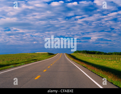 Autobahn 43 in der Nähe von Cypress Hills, Alberta, Kanada. Stockfoto