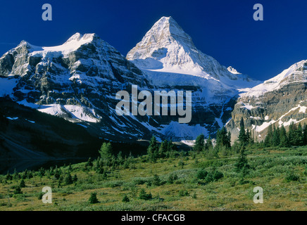 Magog See und Mount Assiniboine, Mount Assiniboine Provincial Park, Britisch-Kolumbien, Kanada. Stockfoto