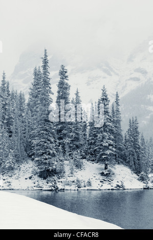 Elbow Lake am Ellenbogen Pass, Peter Lougheed Provincial Park, Alberta, Kanada. Stockfoto