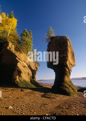 Markanten erodierten Felsformationen, Hopewell Rocks Provincial Park, New Brunswick, Kanada. Stockfoto