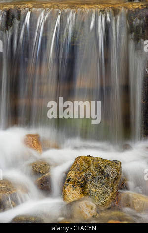 Wasserfall-Detail, Barriere Seengebiet, Kananaskis Country, Alberta, Kanada. Stockfoto