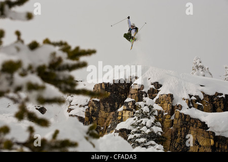 Ein männlicher Skifahrer Tropfen eine Klippe, Kicking Horse Backcountry, Golden, BC Stockfoto