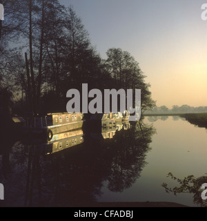 Narrowboats festgemacht an der Wey Navigation Ripley. Surrey. England. Abendlicht. Einbruch der Dunkelheit. Stockfoto