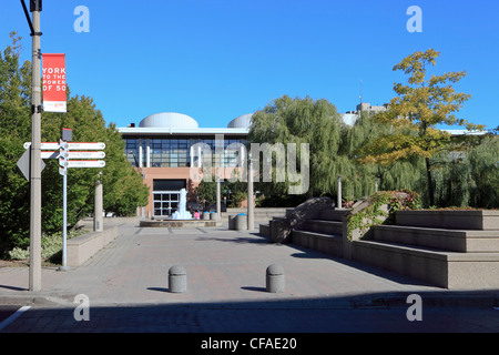 York University, Toronto, Ontario, Kanada Stockfoto