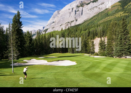 Golfen in Kananaskis Country, Alberta, Kanada. Stockfoto