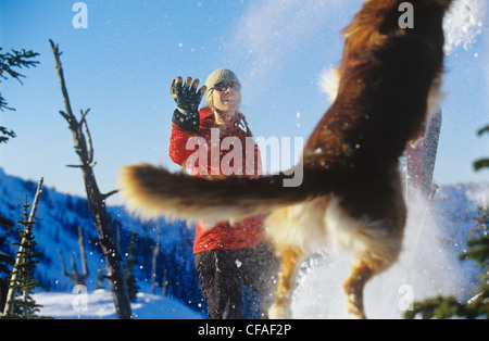 Eine Frau und einen springenden Hund spielen im Schnee im Winter auf einem Gipfel in der Nähe von Rossland, British Columbia, Kanada. Stockfoto