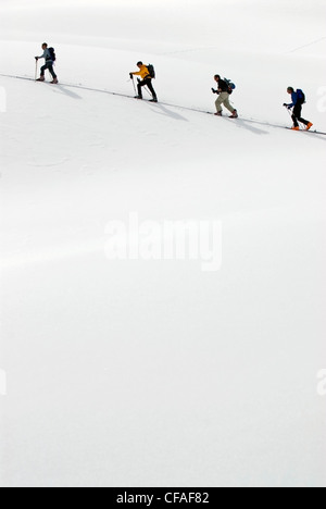 Geführte Ski Arbeitsgruppe über Schneehang, alpine Schüssel, Britisch-Kolumbien, Kanada. Stockfoto