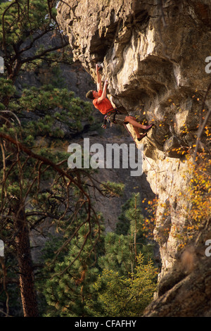 Mann, Klettern an der Welle Wand, Skaha Bluffs. Penticton, Britisch-Kolumbien, Kanada. Stockfoto