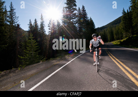 Radfahrer fahren auf der Landstraße Stockfoto