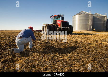 Man untersucht neu kultivierten Boden Traktor Stockfoto