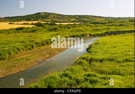 Qu´Appelle River, Qu´Appelle River Valley, Saskatchewan, Kanada Stockfoto