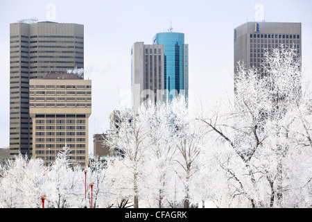 Skyline von Downtown Winnipeg an einem frostigen Wintertag. Winnipeg, Manitoba, Kanada. Stockfoto