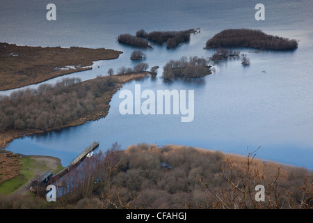 Mündung des Fluss Derwent in Derwent Water, in der Nähe von Lodore Falls Hotel, Borrodale, Keswick, Cumbria Stockfoto