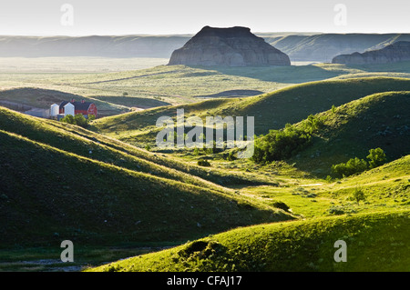 Red Barn, Big Muddy Badlands, Saskatchewan, Kanada. Stockfoto