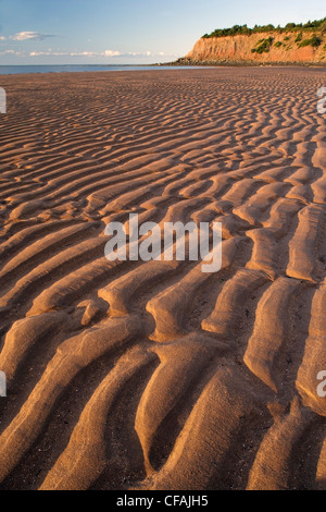 Gully Kopf und Northumberland Strait, Insel Caribou, Nova Scotia, Kanada. Stockfoto