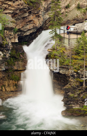 Kaukasischen Männchen an den Blakiston Falls, Waterton Lakes National Park, Alberta, Kanada. Stockfoto