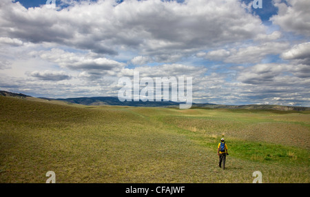 Das Churn Creek Valley im Churn Bach Wandern geschützt Bereich, British Columbia, Kanada. Stockfoto